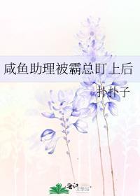 这个杀手不太冷简介