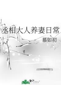 丞相大人养妻日常全文阅读