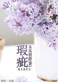 瑕疵必报还是睚眦必报哪个正确