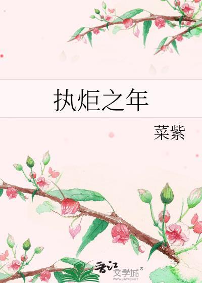 执炬之年讲了什么