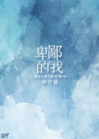 卑鄙的我 英语