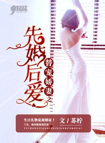 替嫁宠妻免费全文字数