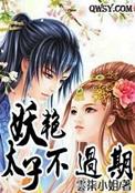 妖娆太子妃殿下太腹黑