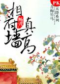 相府城墙实景照片