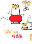 遛狗的陈先生讲什么
