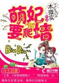 冷王追妻萌妃要爬墙 作者木微实