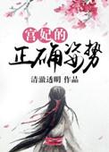 宫妃是啥