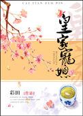 皇家宠媳全文完