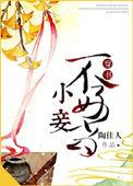 小妾不好当(穿书)章节目录