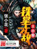 铁掌无敌王小军TXT免费最新章节阅读
