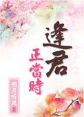 逢君正当时有声