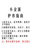 小金蛋护养指南好看吗