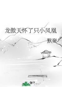 龙傲天怀了只小凤凰的孩子