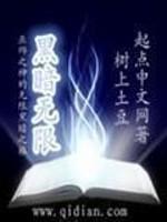 黑暗无限等级划分顺序