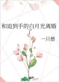 和追到手的白月光离婚了 一只僧