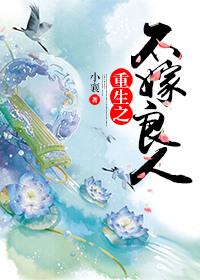 重生之不嫁英雄 西林葳蕤著