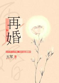 再婚gl无防盗
