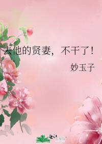 去他的贤妻不干了追书免费阅读