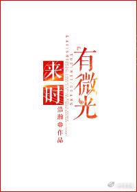 来时有微光剧透