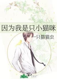 因为我只是一只小猫咪