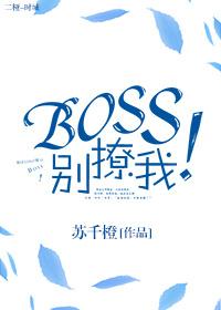 boss 别闹安音免费阅读