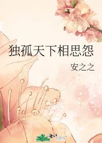 独孤天下中的视频