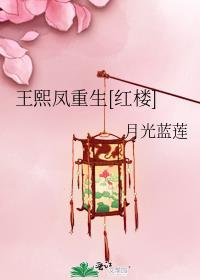 红楼梦王熙凤重生