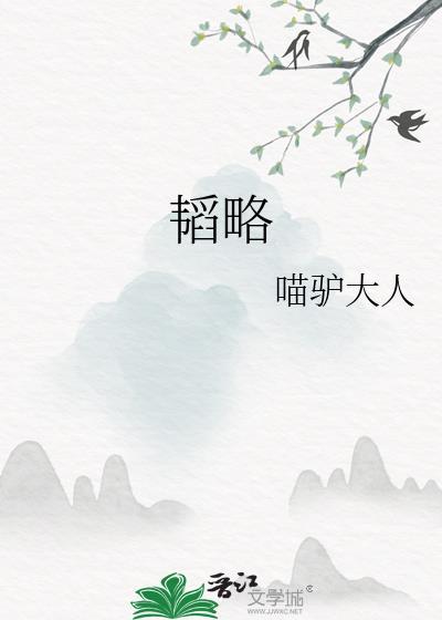 韬略家