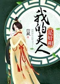 我的夫人是奸臣