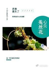 心尖的菟丝花