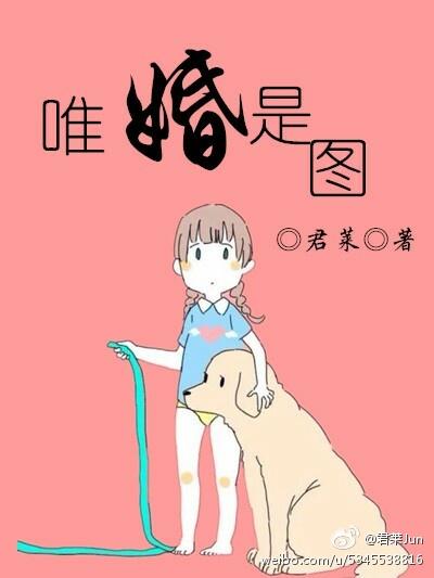 唯婚是图君莱乐文