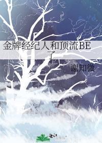 金牌经纪人po