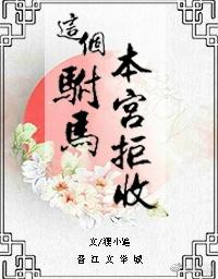 这个驸马有点帅gl晋江