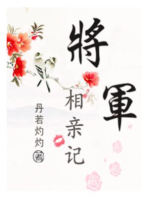 将军抢亲记全文