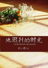 他迟来的时光