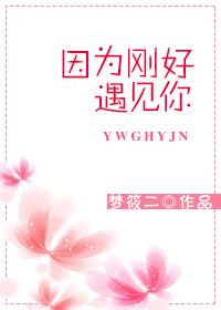 因为刚好遇见你含义