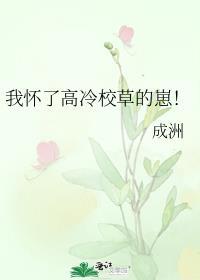 我怀了高冷校草的崽!未删减