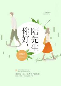 你好陆先生陆年