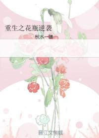 重生之花瓶前妻