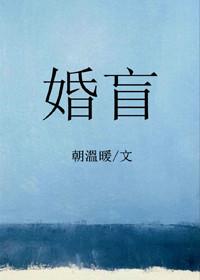婚盲txt
