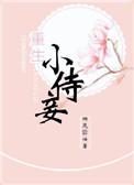 重生小妾类古言