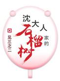 沈大人结局是什么