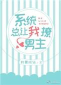 系统总让我洗白TXT