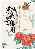 京城头号绯闻txt盘