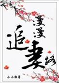 漫漫追妻路电影