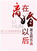 在离婚以后免费阅读
