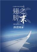 翅膀之末免费阅读番外