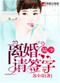 陆总离婚请签字短剧全集
