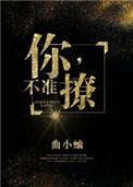 你不准撩41