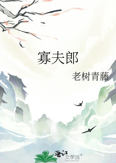 寡夫郎晋江